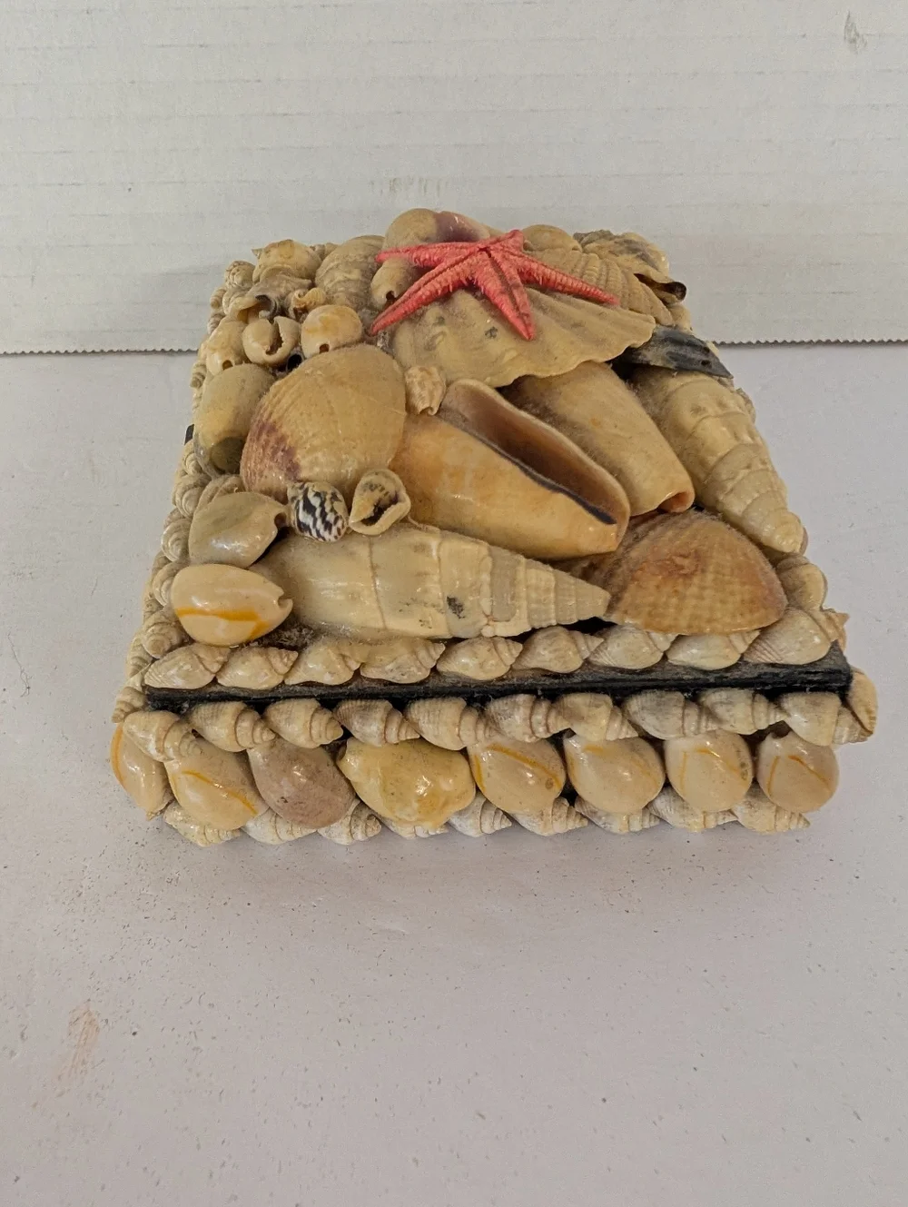 Vintage Box Seashell Decorative Trinket Box Starfish Accent. Old Shell Art.